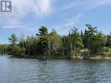 PARTS 4 AND 11 DORION ISLAND | Kenora Ontario | Slide Image Nineteen