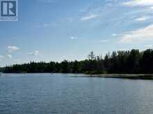 PARTS 4 AND 11 DORION ISLAND | Kenora Ontario | Slide Image Thirty