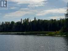 PARTS 4 AND 11 DORION ISLAND | Kenora Ontario | Slide Image Thirty-one