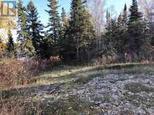 PARTS 3, 9 and 10 Dorion Island | Kenora Ontario | Slide Image Twelve