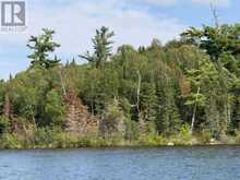 PARTS 3, 9 and 10 Dorion Island | Kenora Ontario | Slide Image Thirty-one