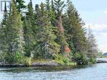 PARTS 3, 9 and 10 Dorion Island | Kenora Ontario | Slide Image Thirty-nine