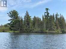 PARTS 3, 9 and 10 Dorion Island | Kenora Ontario | Slide Image Forty-one