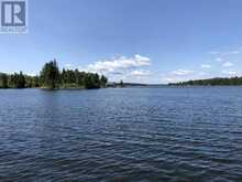 PARTS 3, 9 and 10 Dorion Island | Kenora Ontario | Slide Image Seventeen