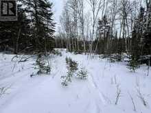 LOT 4 GRASSY LAKE | Kenora Ontario | Slide Image Eleven