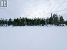 LOT 4 GRASSY LAKE | Kenora Ontario | Slide Image Five