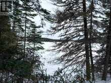 LOT 4 GRASSY LAKE | Kenora Ontario | Slide Image Seven