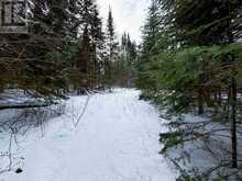 LOT 4 GRASSY LAKE | Kenora Ontario | Slide Image Thirteen