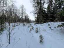 LOT 4 GRASSY LAKE | Kenora Ontario | Slide Image Fifteen