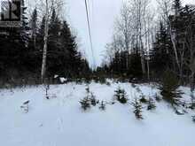 LOT 4 GRASSY LAKE | Kenora Ontario | Slide Image Sixteen