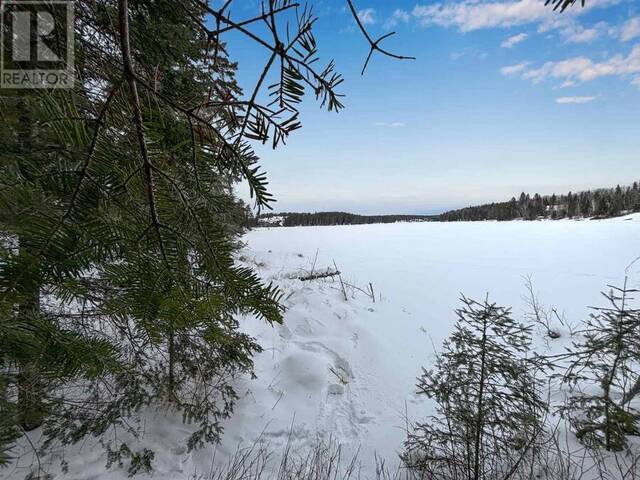 LOT 4 GRASSY LAKE Kenora Ontario, P9N 4N2