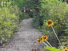 Private Island Lake of the Woods | Keewatin Ontario | Slide Image Twenty-four