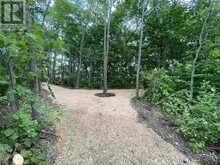 Private Island Lake of the Woods | Kenora Ontario | Slide Image Eighteen