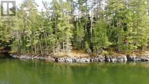 0 Hilowjack Island, Whitefish Bay | Sioux Narrows-Nestor Falls Ontario | Slide Image Seventeen