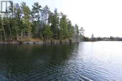 0 Hilowjack Island, Whitefish Bay | Sioux Narrows-Nestor Falls Ontario | Slide Image Twenty-six