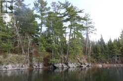 0 Hilowjack Island, Whitefish Bay | Sioux Narrows-Nestor Falls Ontario | Slide Image Thirty