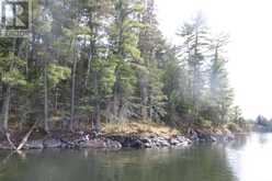 0 Hilowjack Island, Whitefish Bay | Sioux Narrows-Nestor Falls Ontario | Slide Image Forty-three