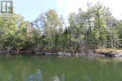 0 Hilowjack Island, Whitefish Bay | Sioux Narrows-Nestor Falls Ontario | Slide Image Forty-four