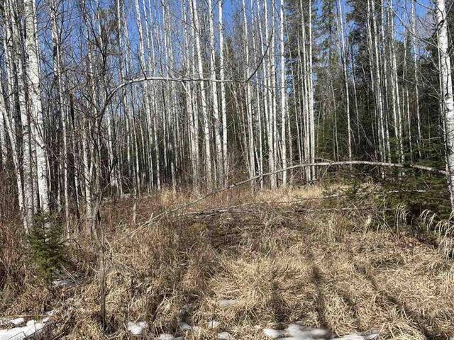 CON 8 S PT LT 7 WALKER RD S Thunder Bay Ontario, P7L 0B8 - Waterfront Land For Sale