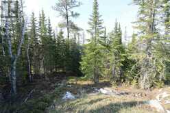LOT 2 LOUGHEED DRIVE | Kenora Ontario | Slide Image Twenty-two