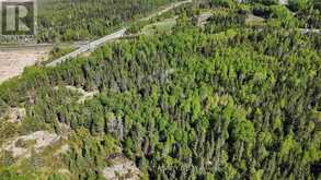 PART 1&2 JONES ROAD | Kenora Ontario | Slide Image Fifteen