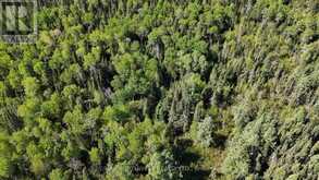 PART 1&2 JONES ROAD | Kenora Ontario | Slide Image Eight