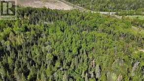 PART 1&2 JONES ROAD | Kenora Ontario | Slide Image Ten