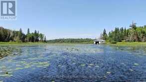 PT 1 23R-14945 SNAKE BYWAY | Sioux Narrows-Nestor Falls Ontario | Slide Image Twenty-nine