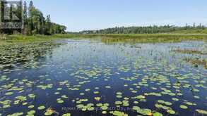PT 1 23R-14945 SNAKE BYWAY | Sioux Narrows-Nestor Falls Ontario | Slide Image Thirty-four