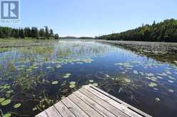 PT 1 23R-14945 SNAKE BYWAY | Sioux Narrows-Nestor Falls Ontario | Slide Image Forty-one