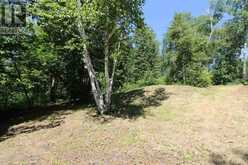 PT 1 23R-14945 SNAKE BYWAY | Sioux Narrows-Nestor Falls Ontario | Slide Image Thirty-nine