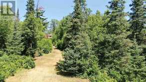 PT 1 23R-14945 SNAKE BYWAY | Sioux Narrows-Nestor Falls Ontario | Slide Image Twenty-three
