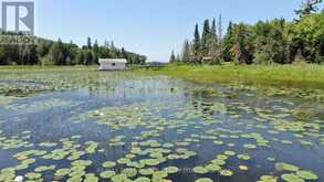 PT 1 23R-14945 SNAKE BYWAY | Sioux Narrows-Nestor Falls Ontario | Slide Image Thirty-two