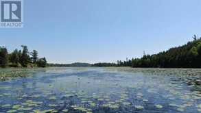 PT 1 23R-14945 SNAKE BYWAY | Sioux Narrows-Nestor Falls Ontario | Slide Image Thirty-six