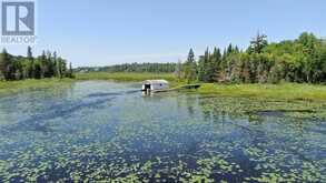 PT 1 23R-14945 SNAKE BYWAY | Sioux Narrows-Nestor Falls Ontario | Slide Image Twenty-eight