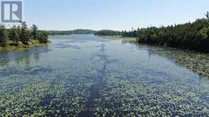 PT 1 23R-14945 SNAKE BYWAY | Sioux Narrows-Nestor Falls Ontario | Slide Image Thirty-three