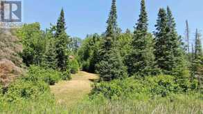 PT 1 23R-14945 SNAKE BYWAY | Sioux Narrows-Nestor Falls Ontario | Slide Image Seven