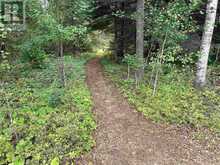 1 BEAR CAMP | Machin Ontario | Slide Image Nineteen