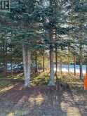 1 BEAR CAMP | Machin Ontario | Slide Image Twenty-one