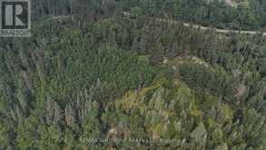LOT 3 KINGER ROAD | Kenora Ontario | Slide Image Five