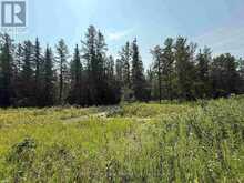 LOT 3 KINGER ROAD | Kenora Ontario | Slide Image Thirty-two