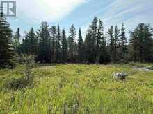 LOT 3 KINGER ROAD | Kenora Ontario | Slide Image Thirty-three