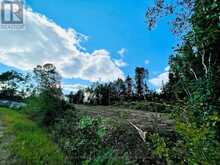 VILLENEUVE ROAD SE | Kenora Ontario | Slide Image Eight