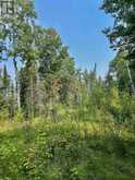 1 - 1 THOMPSON | Kenora Ontario | Slide Image Nineteen