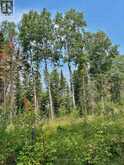 1 - 1 THOMPSON | Kenora Ontario | Slide Image Eighteen