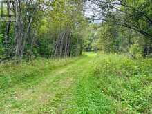 PCL 16721 SUNSET DRIVE | Fort Frances Ontario | Slide Image Five