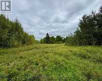 PCL 16721 SUNSET DRIVE | Fort Frances Ontario | Slide Image Eleven