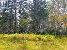 2170 Lynda AVE | Thunder Bay Ontario | Slide Image Ten