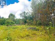 2170 Lynda AVE | Thunder Bay Ontario | Slide Image Nine
