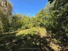 PTS 1,5,6 DORION ISLAND LAKE OF THE WOODS | Kenora Ontario | Slide Image Thirty-five